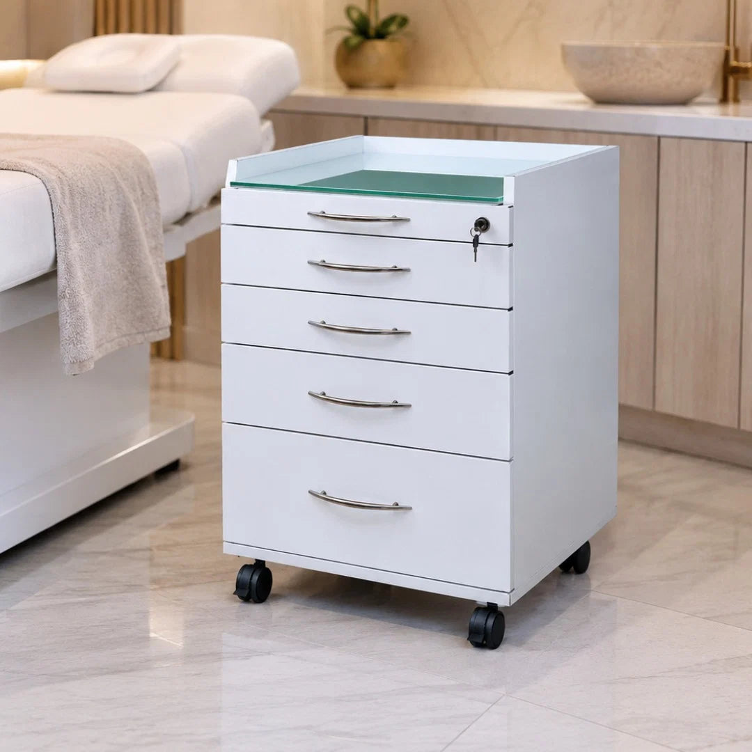 Storage cabinet - ארונית אחסון מקצועית ניידת