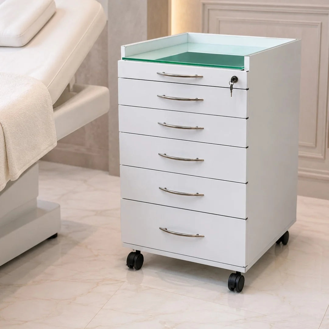 Storage cabinet - ארונית שירות מקצועית ניידת